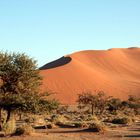 Namibia, Sossusvlei, Juli 05