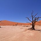 Namibia, Sossusvlei National Park, Dead Vlei