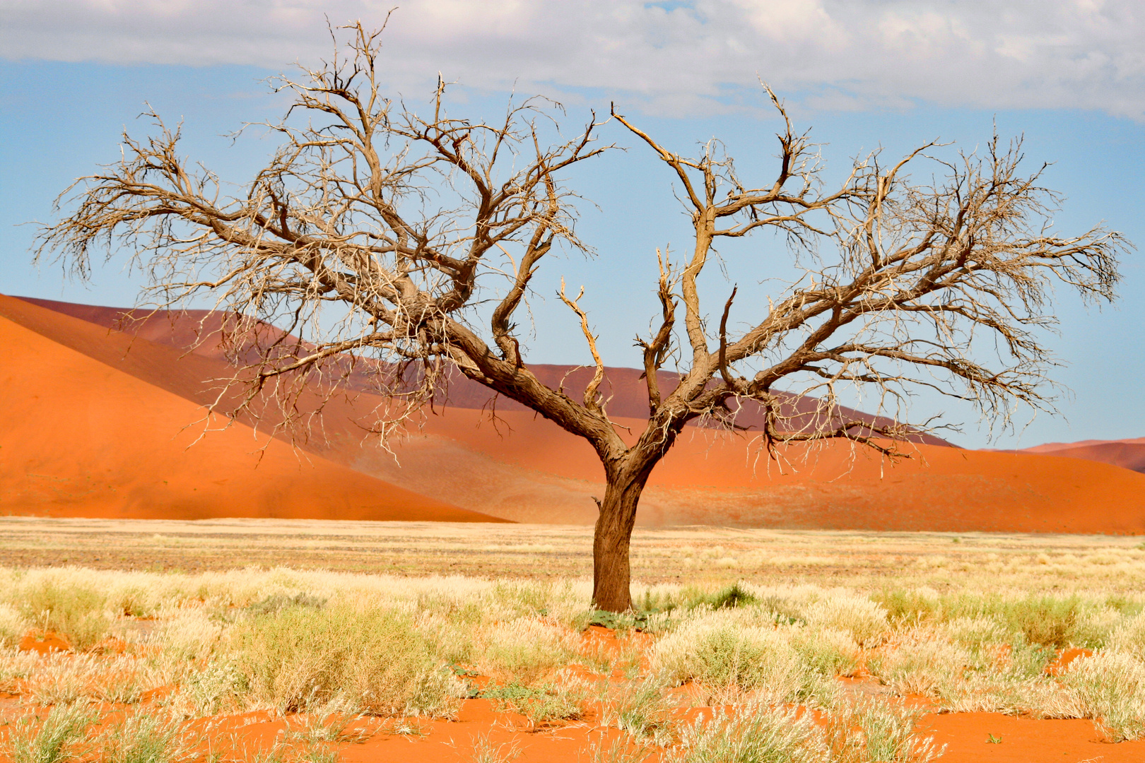 Namibia Soususvlei