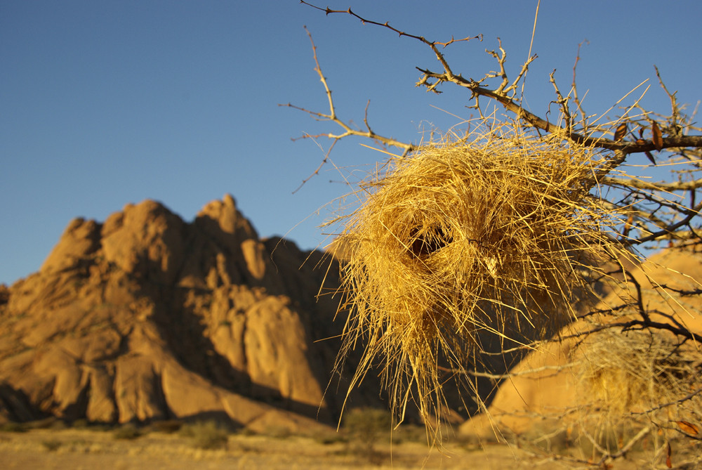 NAMIBIA Spitzkoppe 7