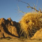 NAMIBIA Spitzkoppe 7