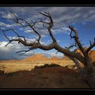 Namibia / Spitzkoppe #7a