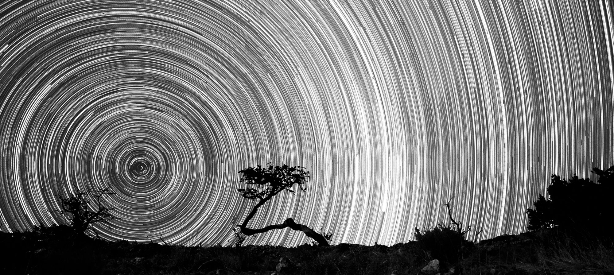 Namibia Startrails