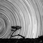 Namibia Startrails