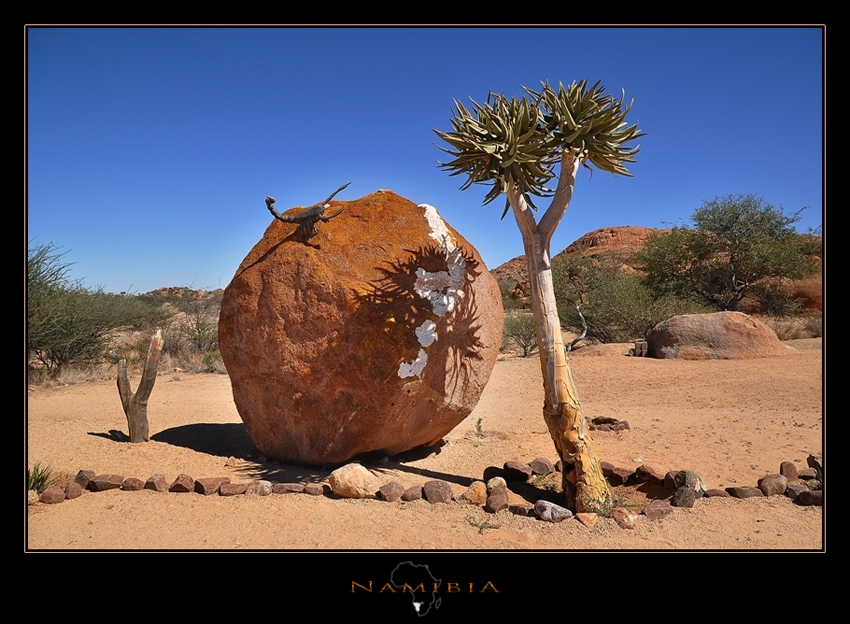 Namibia Stillife