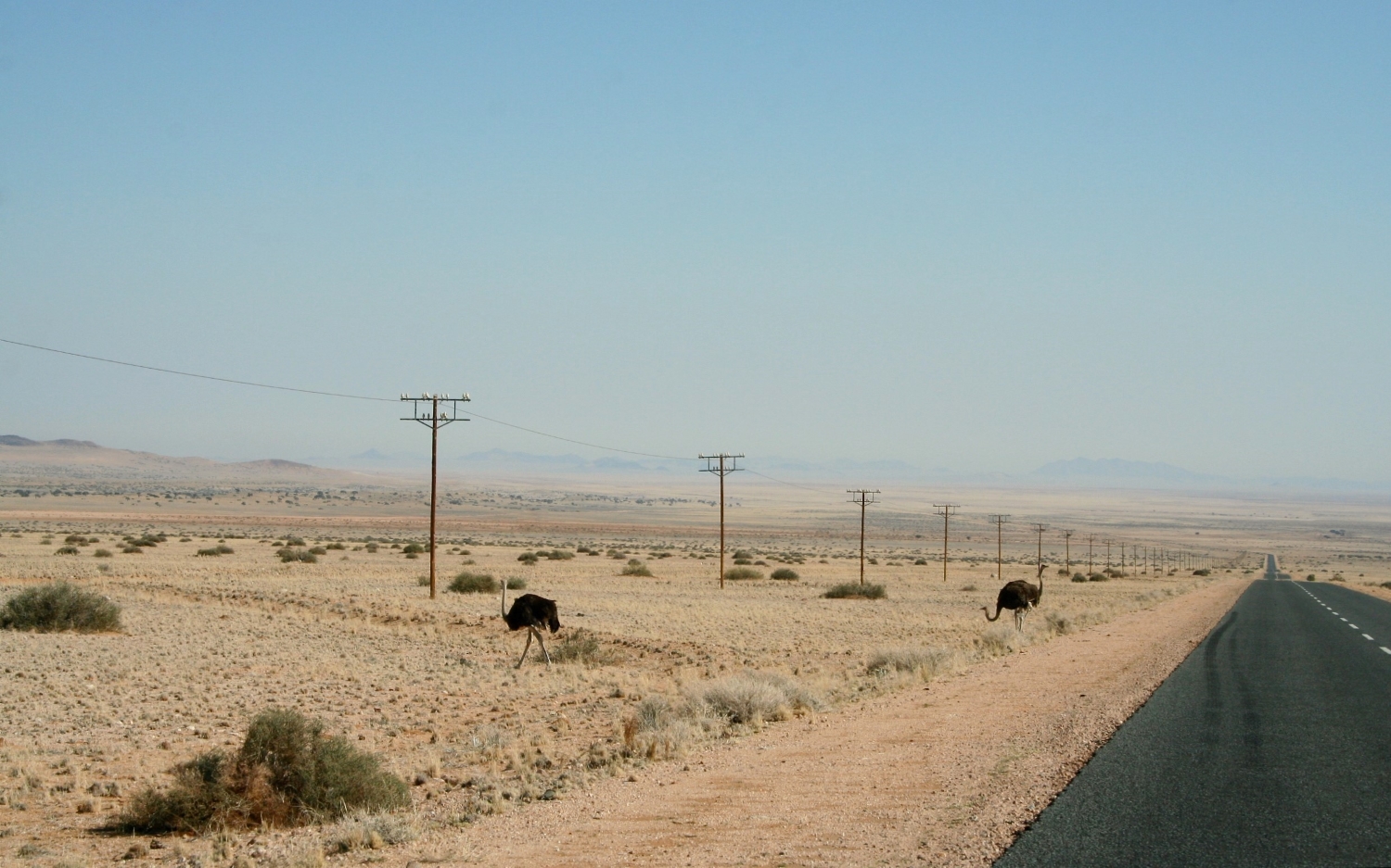 Namibia Street