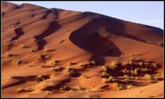 Namibia: Südliche Namib