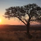 Namibia - Sundowner