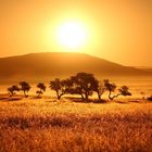 Namibia Sunset