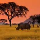 Namibia-Sunset I