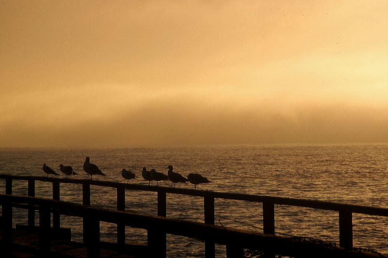 Namibia: Swakopmund - ... und abends kommt der Nebel