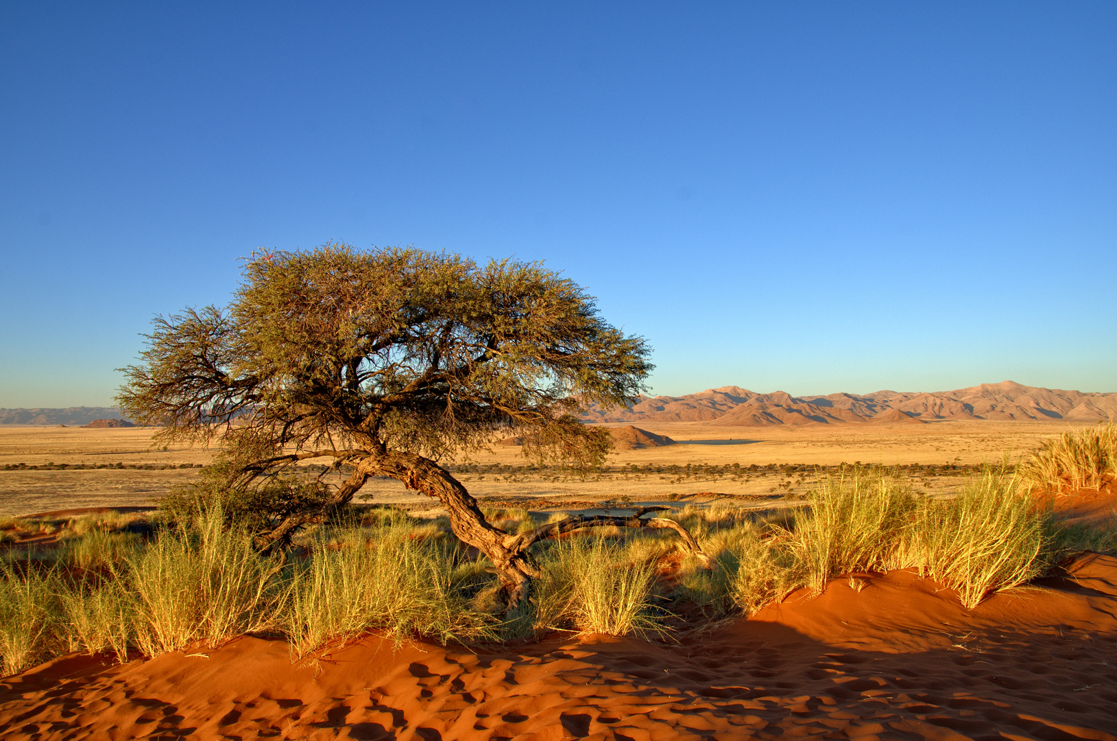 Namibia - TraumBlick