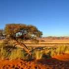 Namibia - TraumBlick