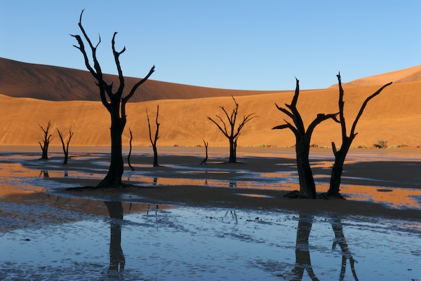 Namibia unter Wasser