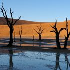 Namibia unter Wasser