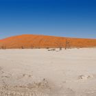 Namibia V - Deadvlei 270° Panorama