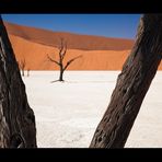 Namibia VII - Deadvlei klassisch