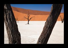 Namibia VII - Deadvlei klassisch