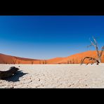 Namibia VIII - Deadvlei Fisheye