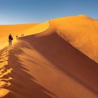 Namibia - Wandern auf die Düne Big Daddy