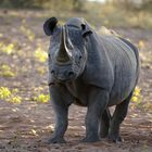 NAMIBIA Waterberg Plateau 1