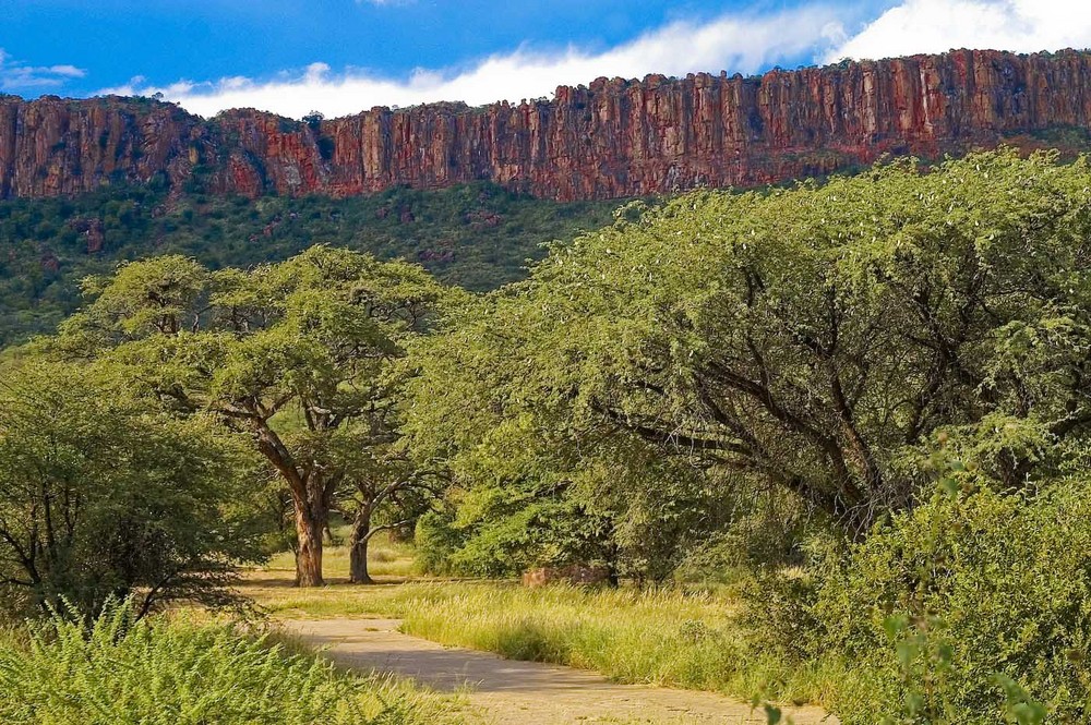 Namibia - Waterberg Plateau Park, am Fuss der Sandsteinfelsen