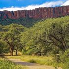 Namibia - Waterberg Plateau Park, am Fuss der Sandsteinfelsen