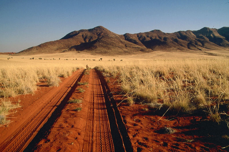 Namibia: Wolwedans