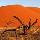 Namibia Wüste