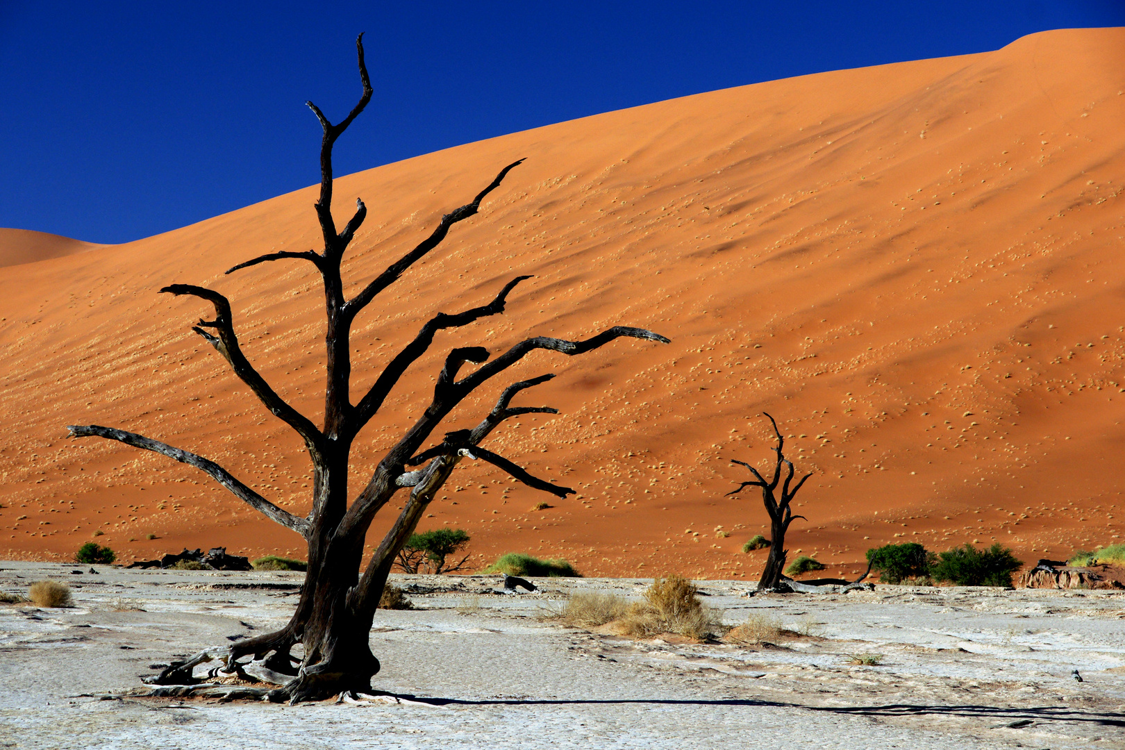 Namibia Wüste