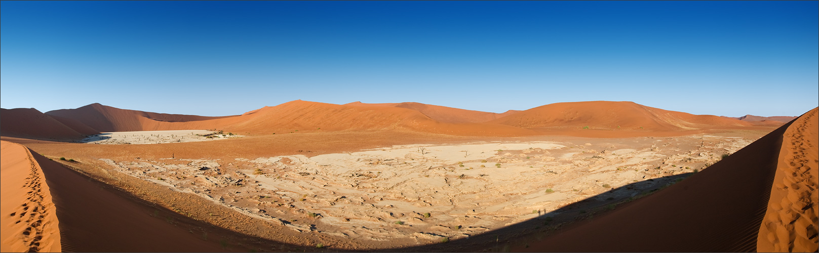 Namibia XI - Vlei Panorama 180°