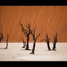 Namibia XII - dead trees