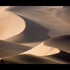 Namibia XVI - Spuren im Sand