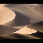 Namibia XVI - Spuren im Sand