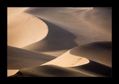 Namibia XVI - Spuren im Sand