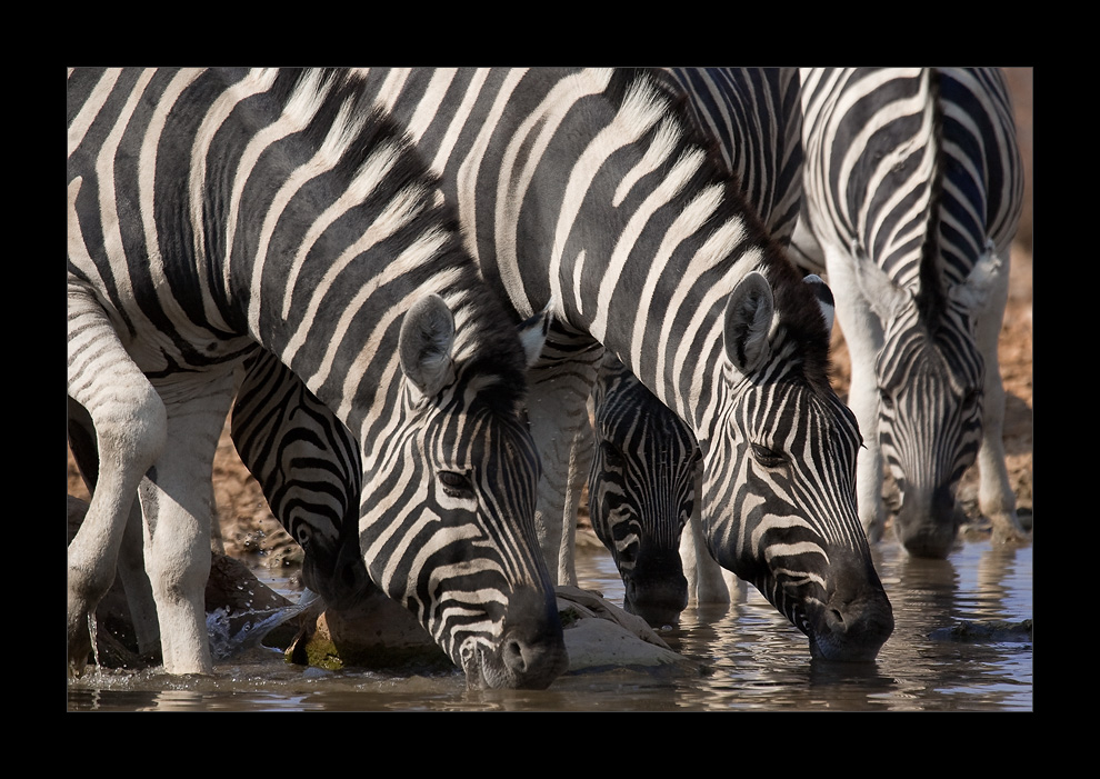 Namibia XXXI - stripes