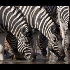 Namibia XXXI - stripes