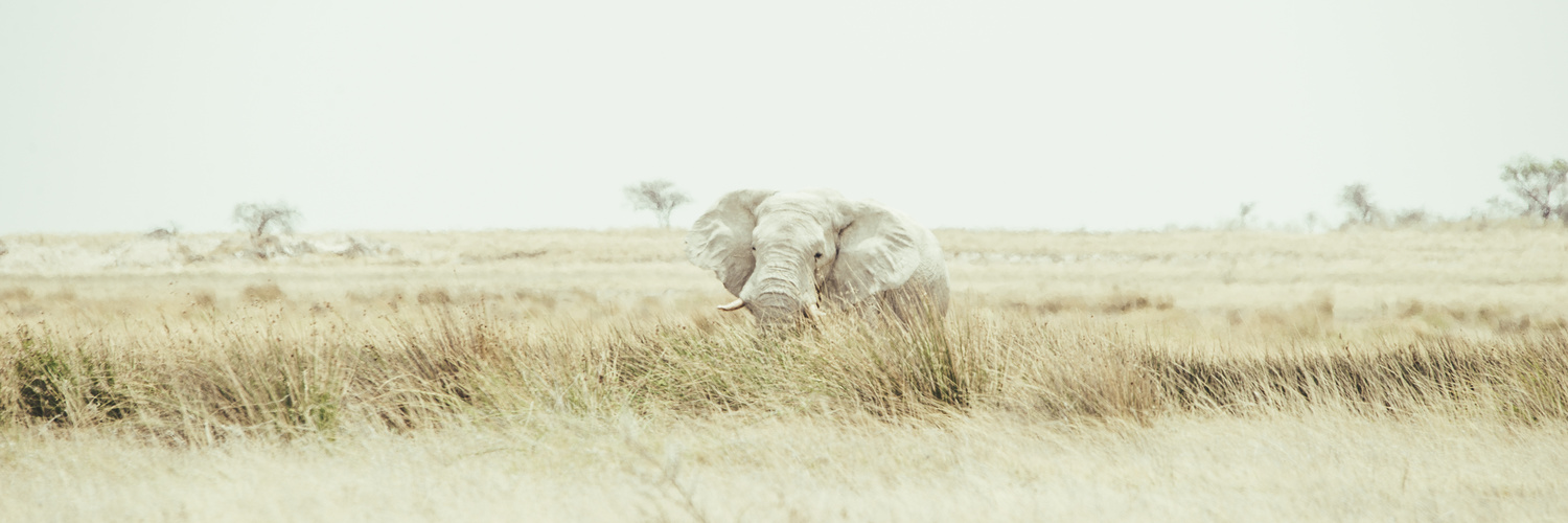 Namibia_2018