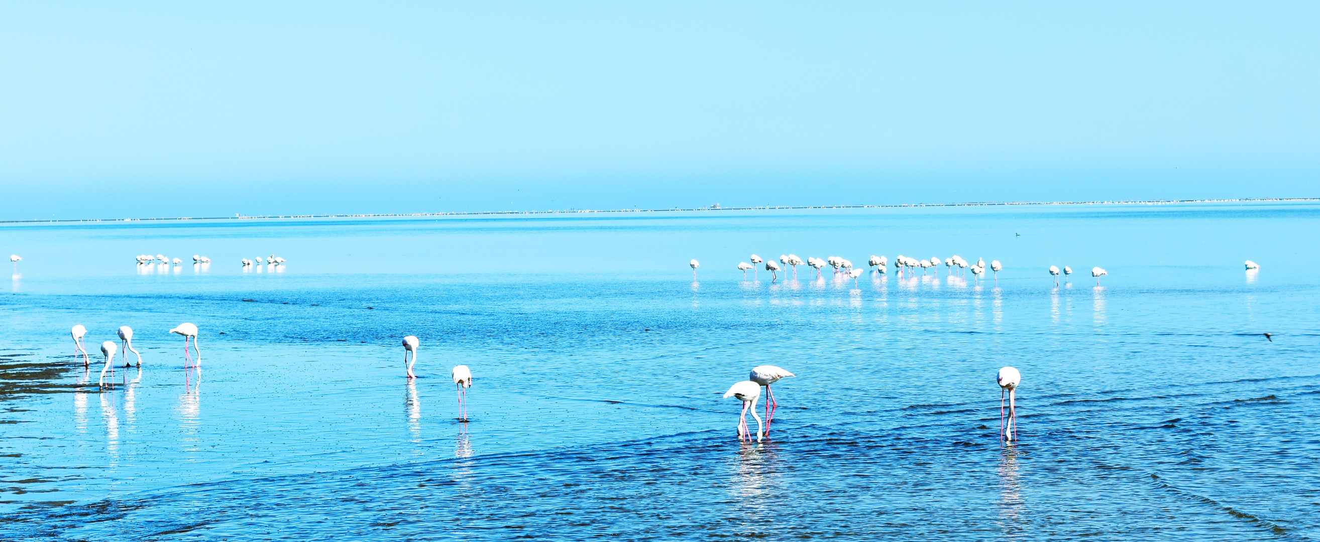 Namibiablau