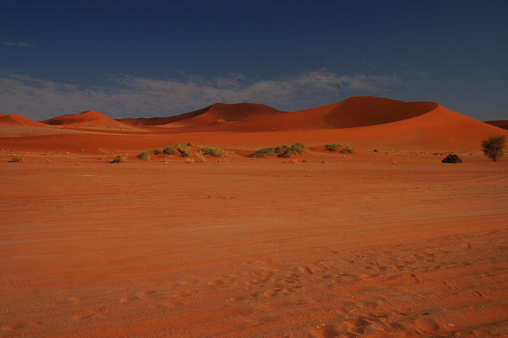 Namibian Desert Session