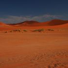 Namibian Desert Session