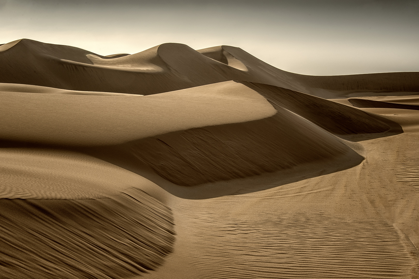 Namibian Dessert Scene