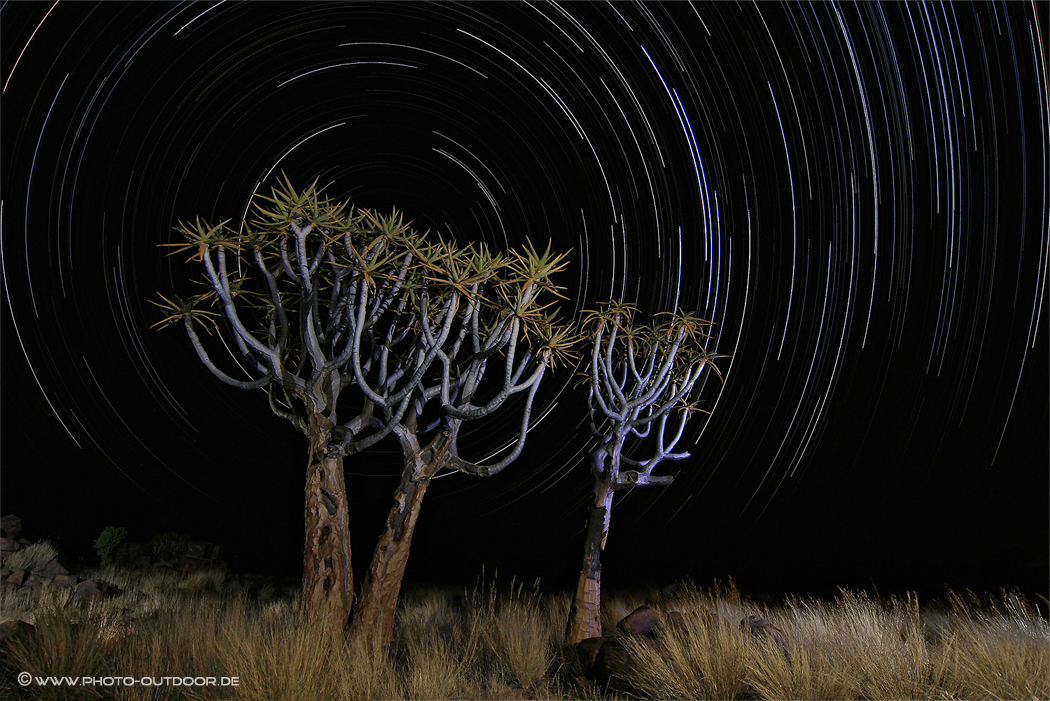 namibian nights