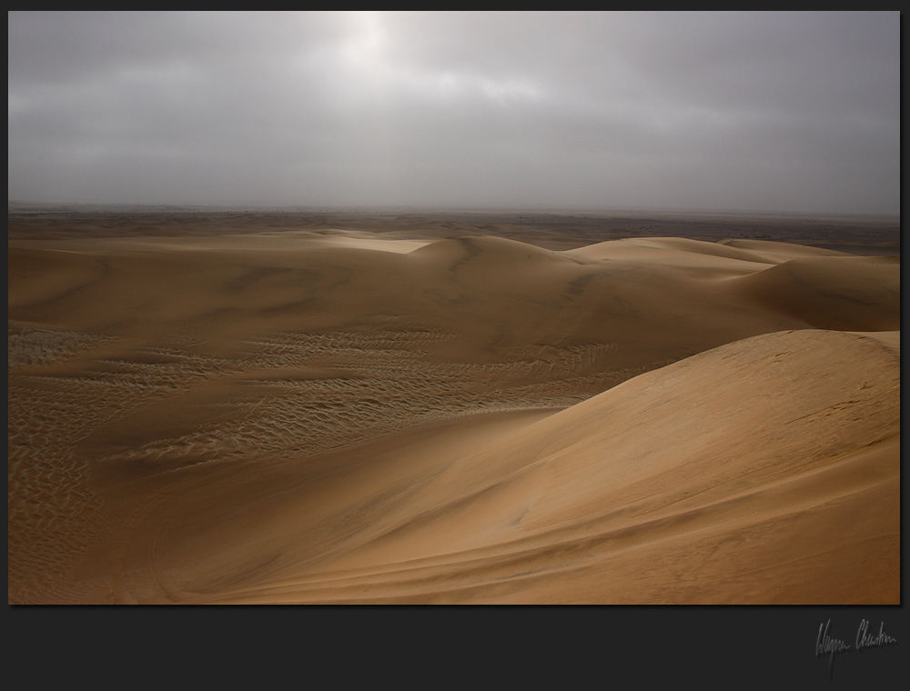 Namibian Sand