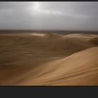 Namibian Sand