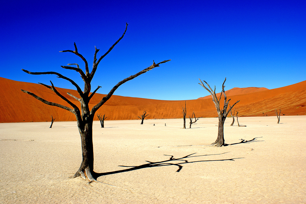 desert storm namibia photo workshop