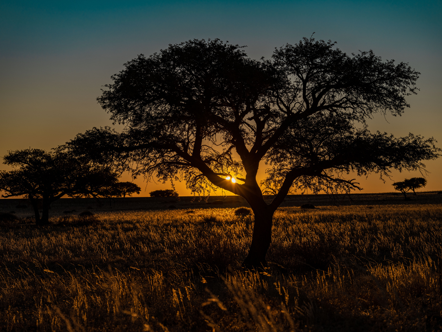 Namibian Sky