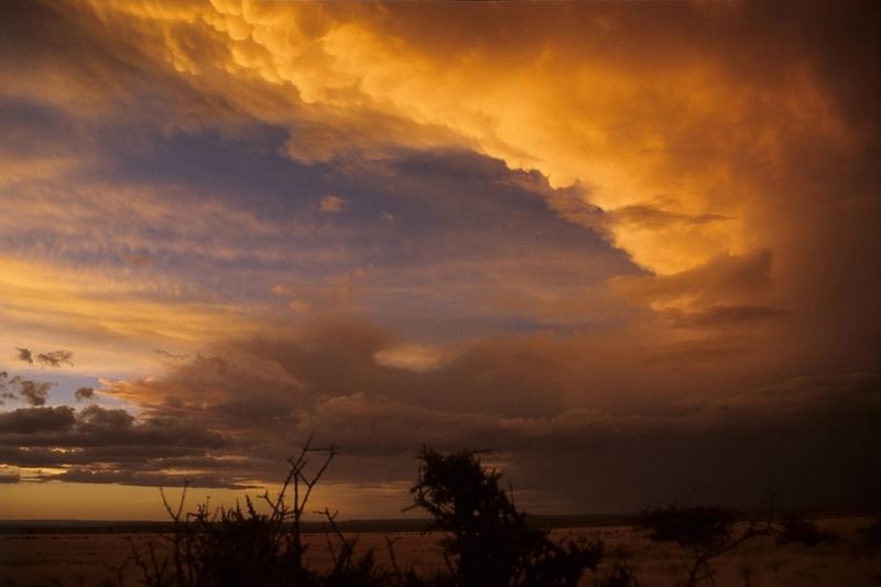 Namibian Sunset