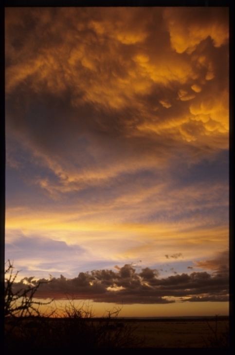 Namibian Sunset (II)