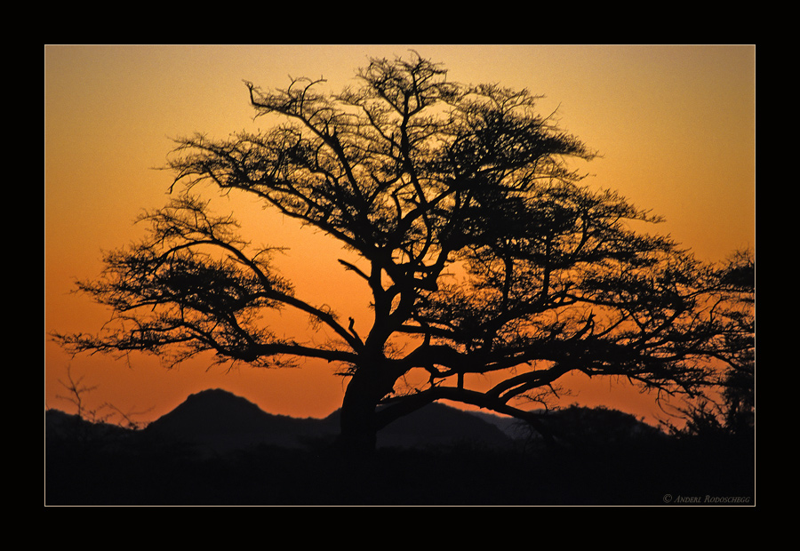 Namibianische Sonnenuntergänge I